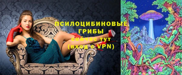 стаф Абдулино