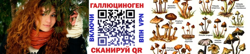 Псилоцибиновые грибы Magic Shrooms  что такое   hydra вход  Бугуруслан 